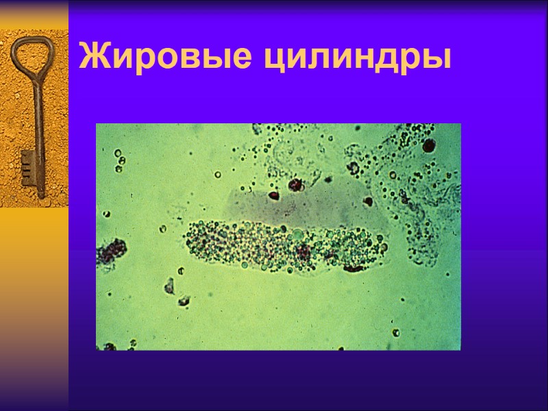 Жировые цилиндры